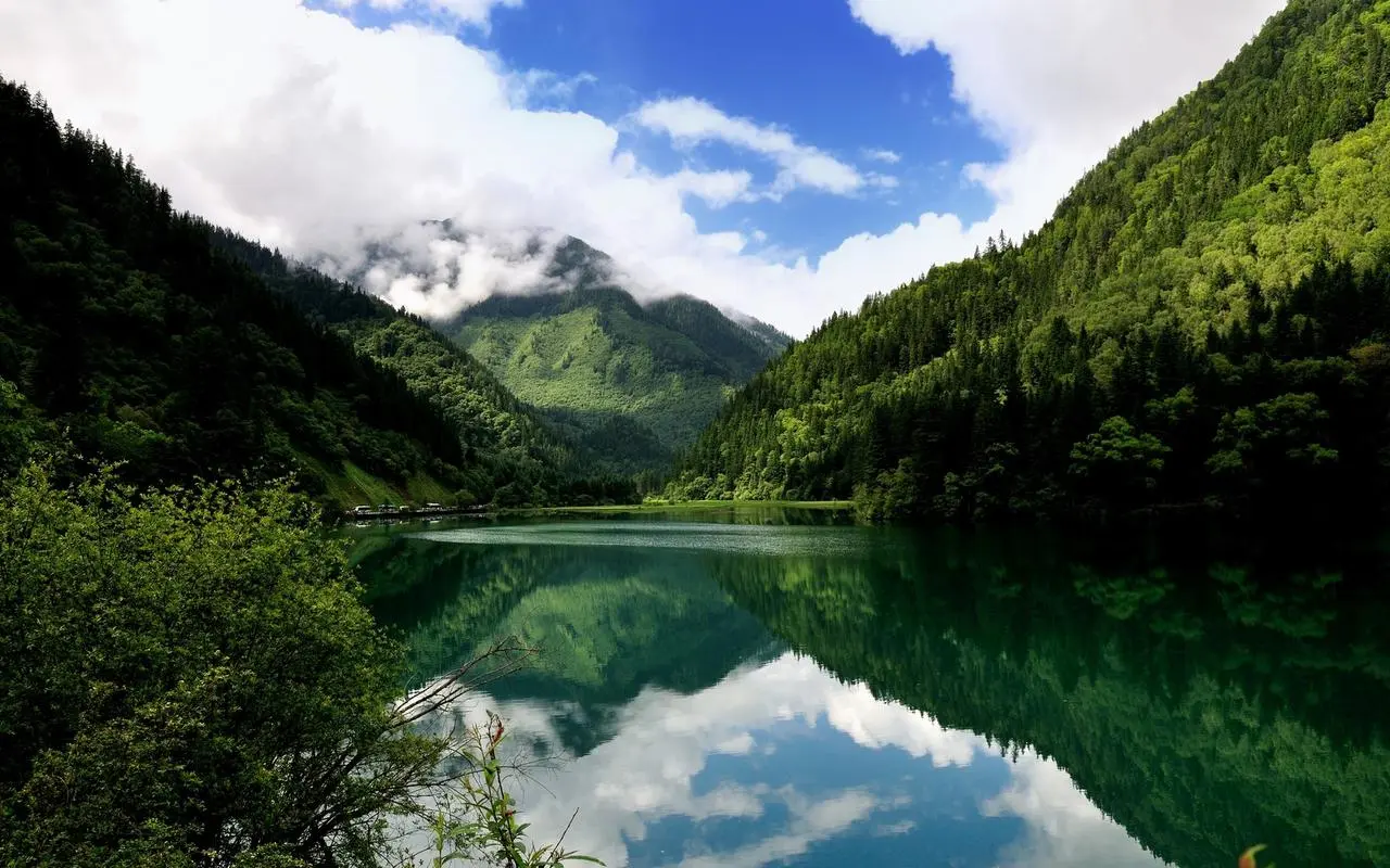 新型独特先进